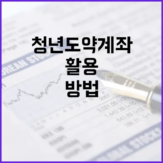 청년도약계좌를 효과적으로 활용하는 방법 - 요약
