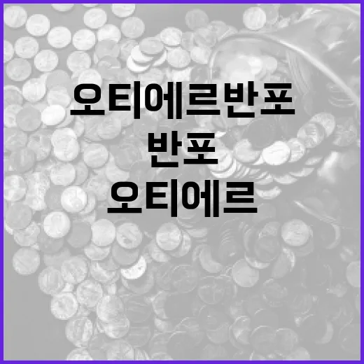 오티에르 반포를 효율적으로 활용하는 방법 - 요약