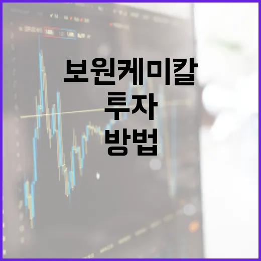 보원케미칼에 투자하는 방법 - 요약