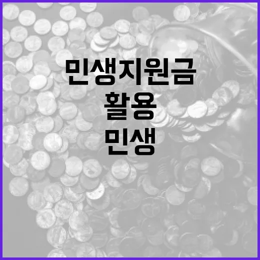 민생지원금을 효과적으로 활용하는 방법 - 요약
