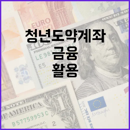 청년도약계좌를 활용하는 방법: 금융 전문가가 알려주는 전략 - 요약