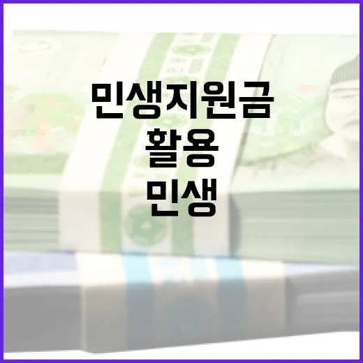 민생지원금을 효과적으로 활용하는 방법 - 요약