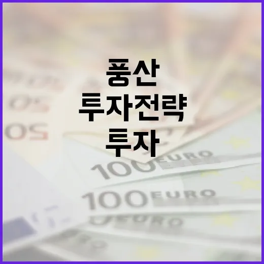 풍산에 투자하는 방법: 성공적인 투자 전략 - 요약