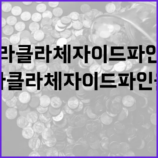 라클라체자이드파인을 이해하고 활용하는 방법 - 요약