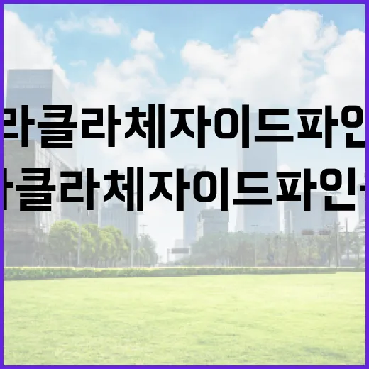 라클라체자이드파인을 이해하고 활용하는 방법 - 요약