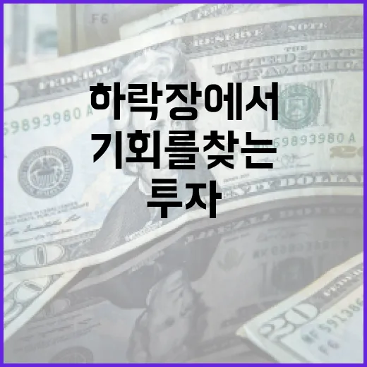주가 하락장에서 투자 기회를 찾는 방법 - 요약