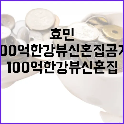 효민의 100억 한강뷰 신혼집 공개: 부동산 투자 관점에서 보는 방법 - 요약