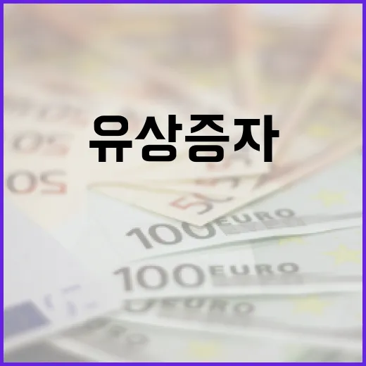 유상증자의 뜻과 이를 이해하는 방법 - 요약