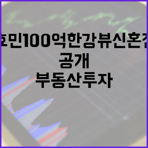 효민 100억 한강뷰 신혼집을 공개합니다: 부동산 투자 관점에서 알아보는 방법 - 요약