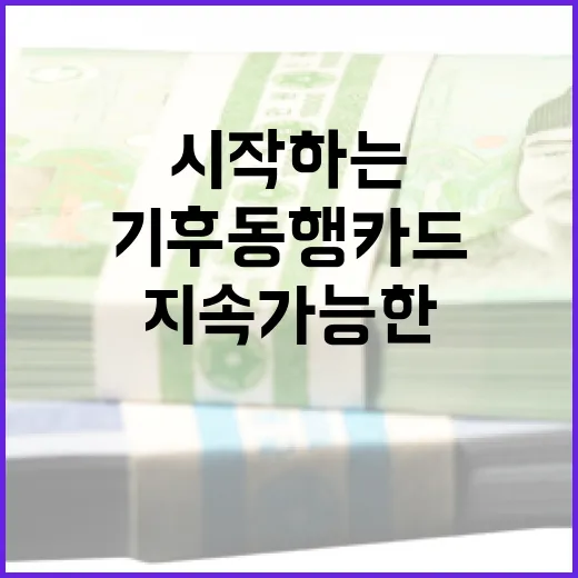 기후동행카드로 지속 가능한 소비를 시작하는 방법 - 요약