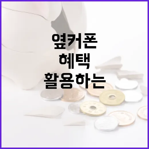 옆커폰 혜택을 최대한 활용하는 방법 - 요약