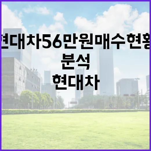 현대차 56만원 매수 현황 분석 방법 - 요약