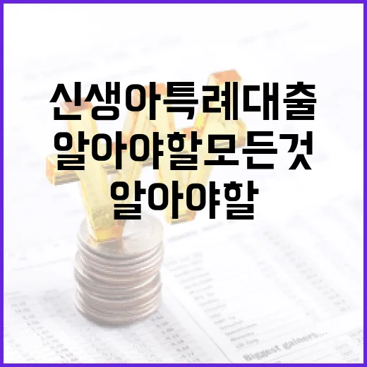 신생아 특례대출에 대해 알아야 할 모든 것 - 요약