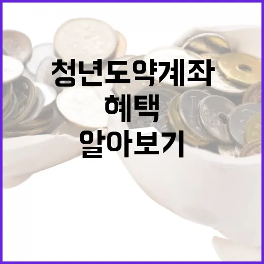 청년도약계좌를 시작하는 방법: 혜택과 절차 알아보기 - 요약