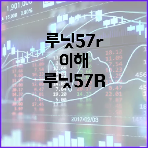루닛57r 이해하고 활용하는 방법 - 요약