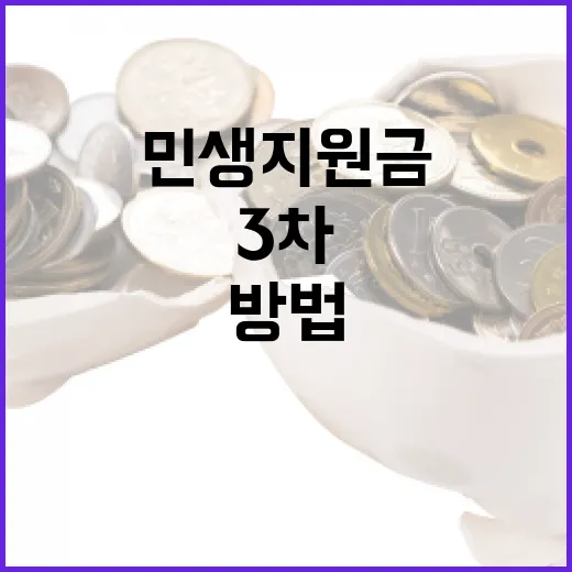 3차 민생지원금을 효과적으로 활용하는 방법 - 요약