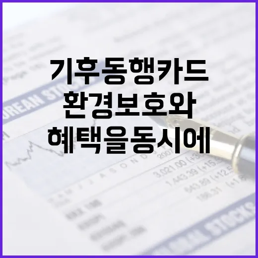 기후동행카드를 활용하여 환경 보호와 금융 혜택을 동시에 누리는 방법