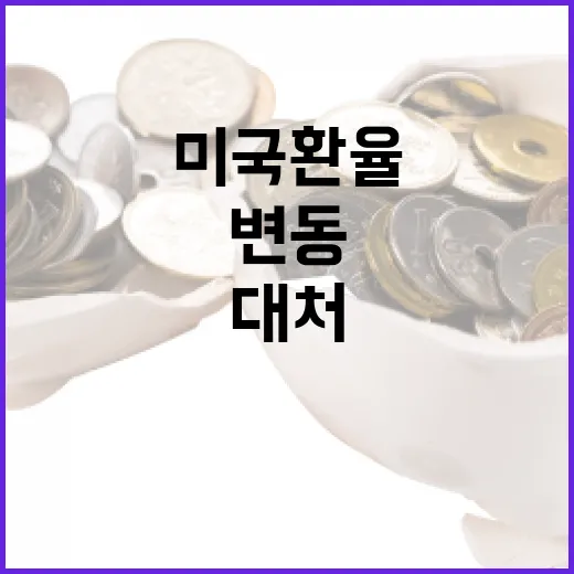 미국환율 변동을 이…