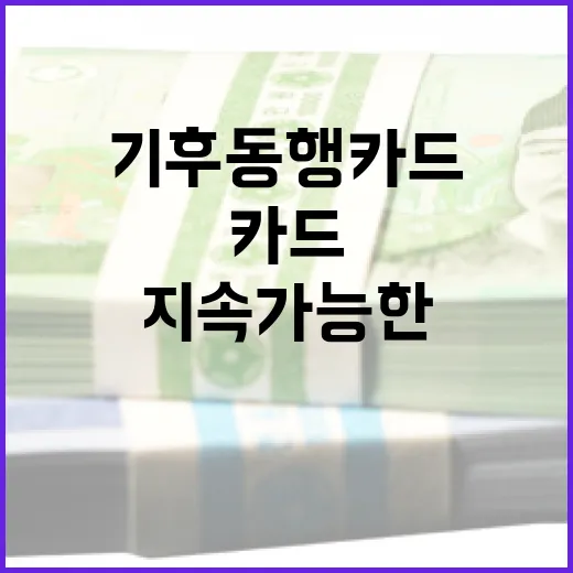 기후동행카드를 활용하는 방법: 지속 가능한 금융 실천하기 - 요약