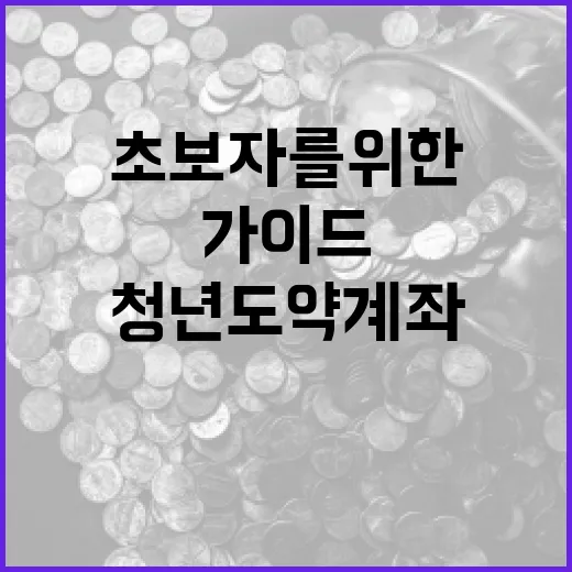청년도약계좌를 시작하는 방법: 초보자를 위한 가이드 - 요약