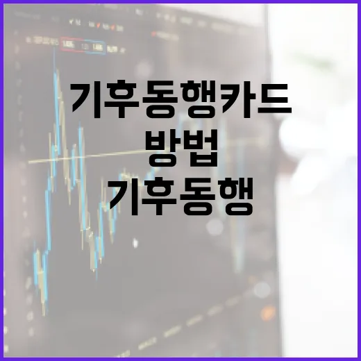 기후동행카드를 활용해 지속 가능한 금융 생활을 시작하는 방법 - 요약