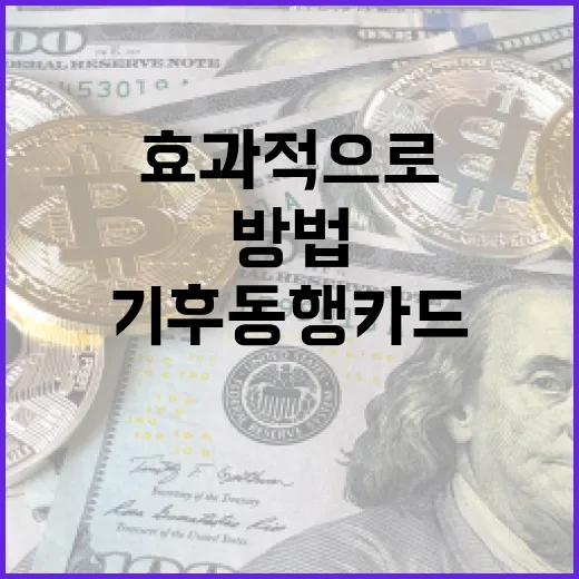 기후동행카드를 효과적으로 활용하는 방법 - 요약