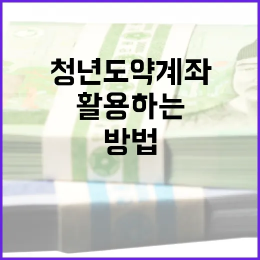 청년도약계좌를 최대한 활용하는 방법 - 요약