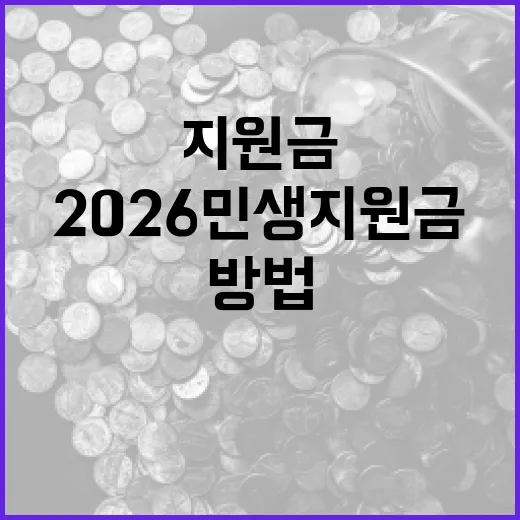 2026 민생지원금을 최대한 활용하는 방법 - 요약