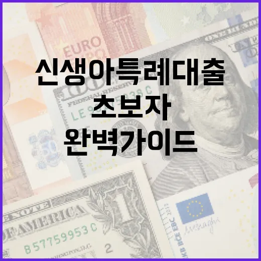 신생아 특례대출 활용 방법: 초보자를 위한 완벽 가이드 - 요약