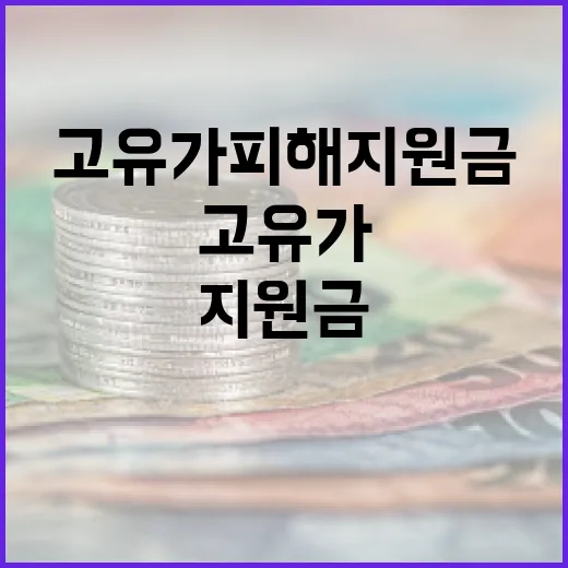 고유가 피해지원금을 효과적으로 활용하는 방법 - 요약