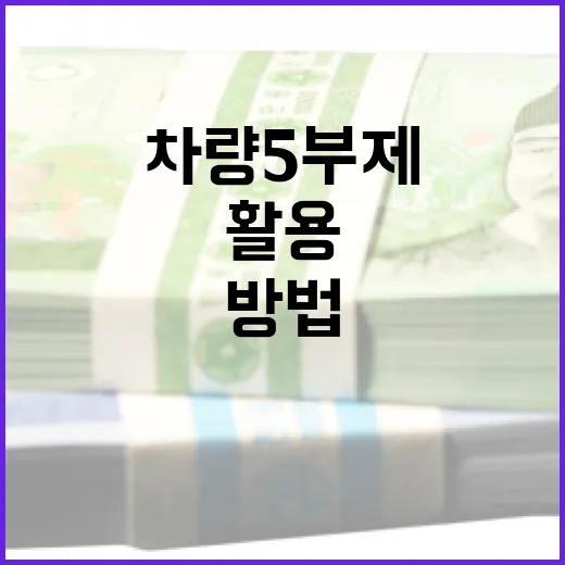 차량 5부제를 이해하고 효과적으로 활용하는 방법 - 요약