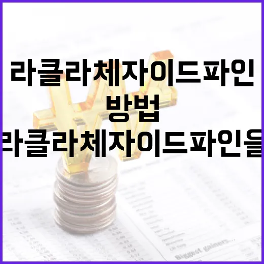 라클라체자이드파인을 이해하고 활용하는 방법 - 요약