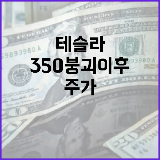 테슬라 주가 350 붕괴 이후 어떻게 대처할까? - 요약