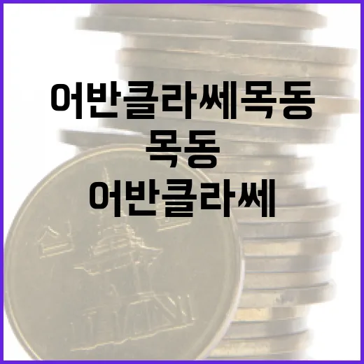 어반클라쎄목동에서 투자 기회를 찾는 방법 - 요약