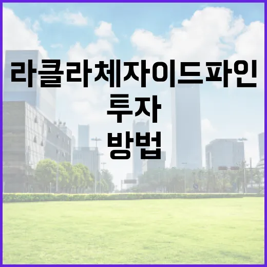 라클라체자이드파인 투자 방법: 성공적인 포트폴리오 구축하기 - 요약