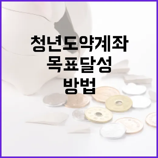 청년도약계좌를 활용하여 재정적 목표 달성하는 방법 - 요약
