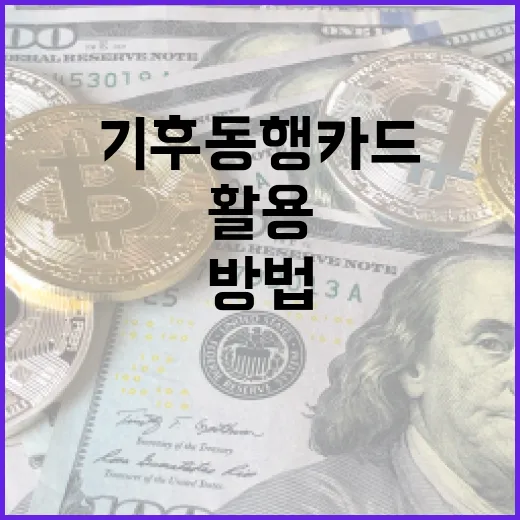 기후동행카드를 활용하는 방법: 지속 가능한 금융을 시작하세요 - 요약