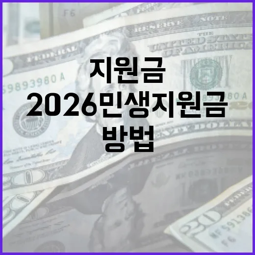 2026 민생지원금을 효과적으로 활용하는 방법 - 요약