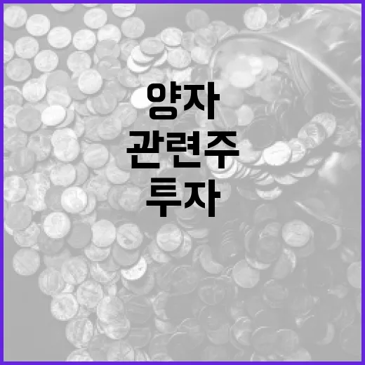 양자 관련주에 투자하는 방법 - 요약