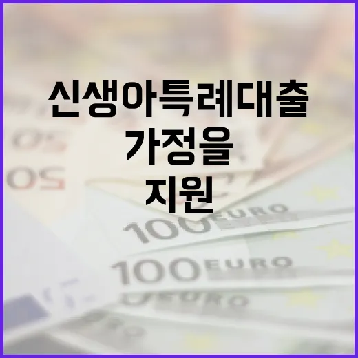 신생아 특례대출로 가정을 지원하는 방법 - 요약