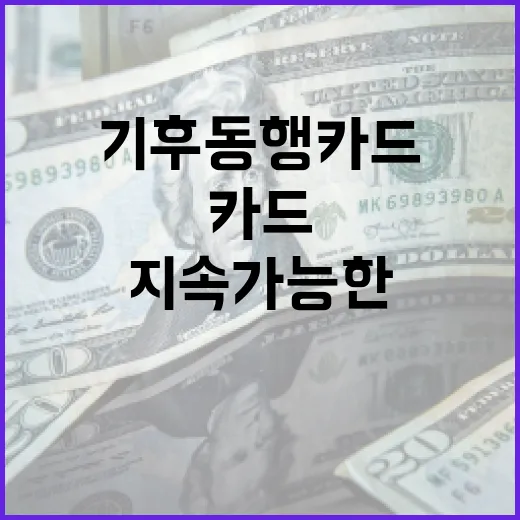 기후동행카드를 활용하여 지속 가능한 금융을 실천하는 방법 - 요약