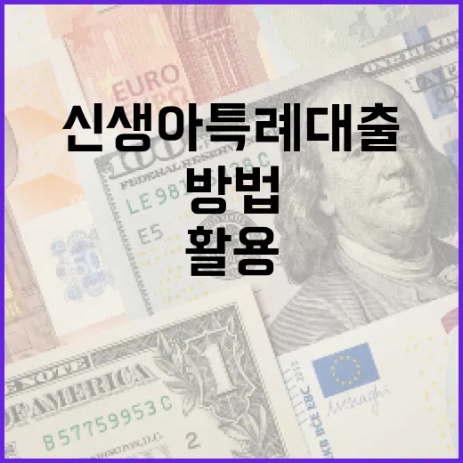 신생아 특례대출을 활용하는 방법 - 요약