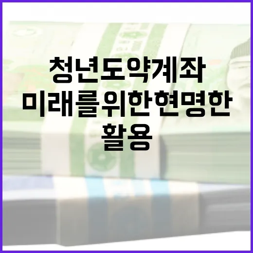 청년도약계좌 활용 방법: 미래를 위한 현명한 재무 계획 - 요약