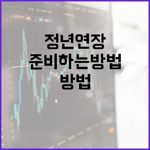 정년 연장을 준비하는 방법 - 요약
