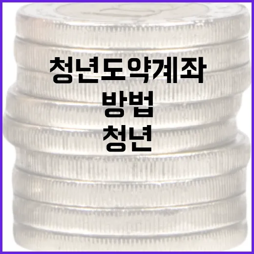 청년도약계좌를 활용하여 재정 계획을 세우는 방법 - 요약