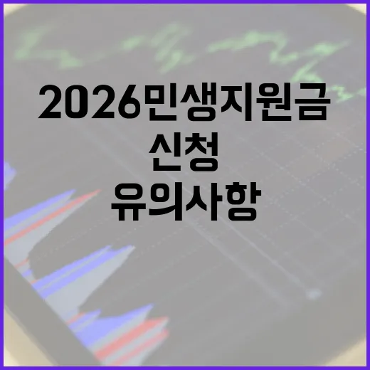 2026 민생지원금을 신청하는 방법과 유의사항 - 요약