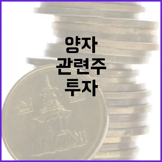 양자 관련주에 투자하는 방법 - 요약