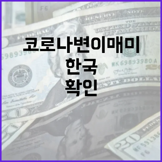 코로나 변이 매미가 한국에서 처음 확인된 상황을 이해하는 방법 - 요약
