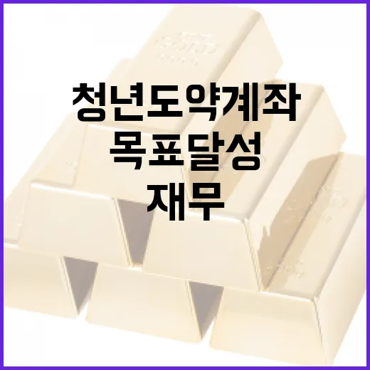 청년도약계좌를 활용하여 재무 목표 달성하는 방법 - 요약
