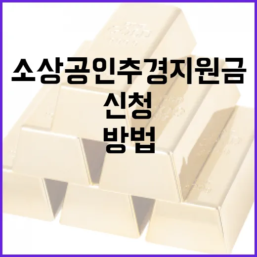 소상공인 추경지원금 활용 방법과 신청 절차 - 요약